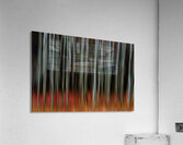 Whispers of Shadowed Light Fine Art Forest Motion Photography Acrylic Print