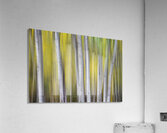 Aspen Light in Motion Fine Art Forest Impression acrylique
