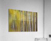 Somewhere Along The Road Dreaming Abstract Aspen Forest Fine Art Impression acrylique