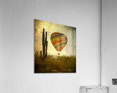 Desert Ascension Fine Art Hot Air Balloon Acrylic Print