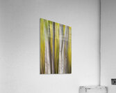 Autumn Aspen Dreamscape Abstract Landscape Impression acrylique