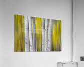 Golden Aspen Abstraction Fine Art Landscape Impression acrylique