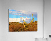 Four Peaks Arizona Desert Landscape Acrylic Print