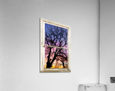 Colorful Tree White Farm House Window Portrai Impression acrylique