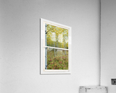 Forest Delight  White Window View Acrylic Print