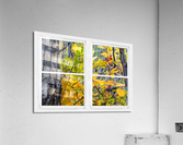 Wild Red Berries Forest Whitewash Picture Window Acrylic Print