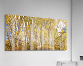 Golden Forest Fantasy Impression acrylique