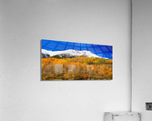 Colorado Rocky Mountain Independence Pass  Acrylic Print