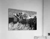 Longs Peak Autumn Aspen Landscape View BW Acrylic Print