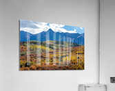 Colorado Color Bonanza Acrylic Print