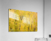 cottonwood autumn colors Impression acrylique