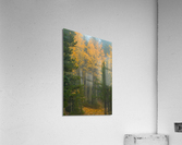 Gate Keepers Impression acrylique