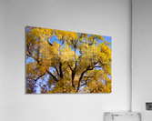  Magical Mystery Tour  Impression acrylique