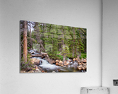 Colorado Rocky Mountain Forest Stream Acrylic Print