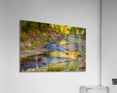 Golden Fishing Stream Acrylic Print