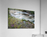 South Boulder Creek Summer View Acrylic Print