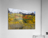 Colorado Kebler Pass Fall Foliage Acrylic Print