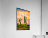 Arizona Life Acrylic Print