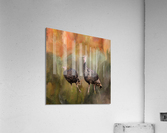 jive turkeys Impression acrylique