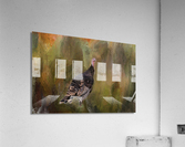 Wild Native Merriam Turkey Acrylic Print