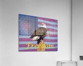 American Freedom Acrylic Print