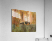 Young Buffalo Impression acrylique