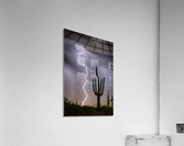 Sonoran Desert Monsoon Storming Acrylic Print