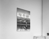 St Vrain Ponds Longs Peak View In Black and White Acrylic Print