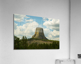 Majestic Devils Tower in Wyoming Amidst Pine Forest Acrylic Print