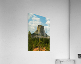 Majestic Devils Tower in Wyoming Surrounded by Pine Forest Acrylic Print