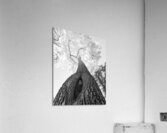 Monochrome Tree Art -  Majestic Trunk and Leaves in Fine Detail Impression acrylique