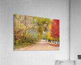 Autumns Country Retreat - A Canopy of Color Acrylic Print