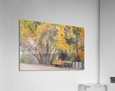 Autumns Bounty - A Country Road Market Impression acrylique