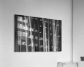 Aspen Trees Dreaming Black and White Abstract Acrylic Print