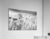 Colorado Rocky Mountain Autumn Beauty Black and White Acrylic Print