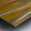 Golden Forest Moment Abstract Panorama Metal print