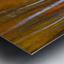 Forest Color Burst Modern Abstract Metal print