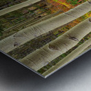 Wilderness Wonderland Metal print