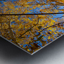 Blue Sky Autumn Bliss Impression metal