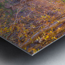 Golden Autumn Creek – Serene Fall Foliage Nature Photography Impression metal