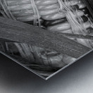 Indian Corn Black and White Impression metal