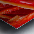 Raw Red Peppers Green Peppers and Onions Metal print