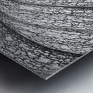 Pumpkin Pumpkin Black and White Impression metal