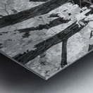 Branching Out in Timeless Black and White Elegance   Impression metal