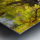 Boulder Colorado City Walk Metal print