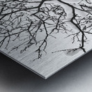 Snowy Tree Black and White Metal print