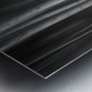 Autumn Aspen Trees Dreaming BW Impression metal