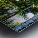 Jungle Paradise Sunshine Impression metal