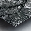 The Ancient Guardian: The 1300 Year Old Balete Tree Metal print