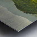 Verdant Tapestry of Tuburan Metal print